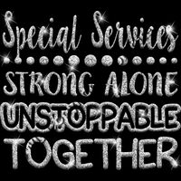 GLT87 SILVER GLITTER Thumbnail